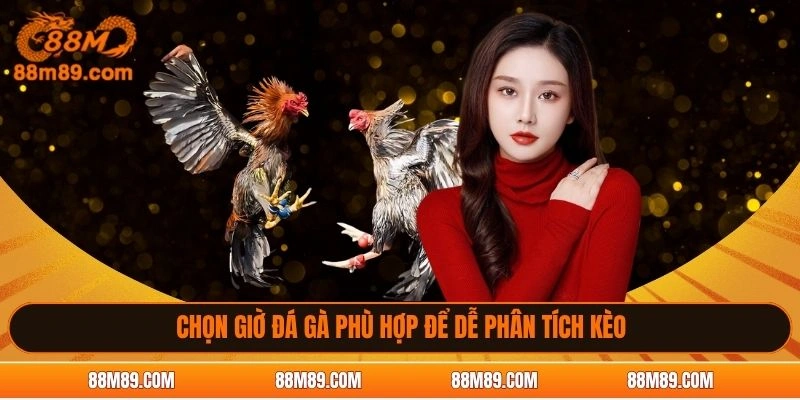 Chọn giờ đá gà phù hợp để dễ phân tích kèo