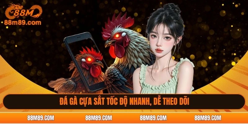 Đá gà cựa sắt tốc độ nhanh, dễ theo dõi
